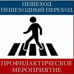 Профилактическое мероприятие  «Пешеход. Пешеходный переход!»